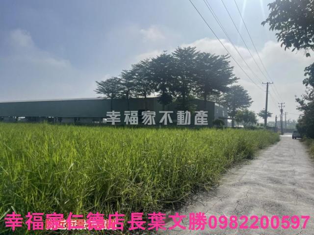 台南新營農地-11