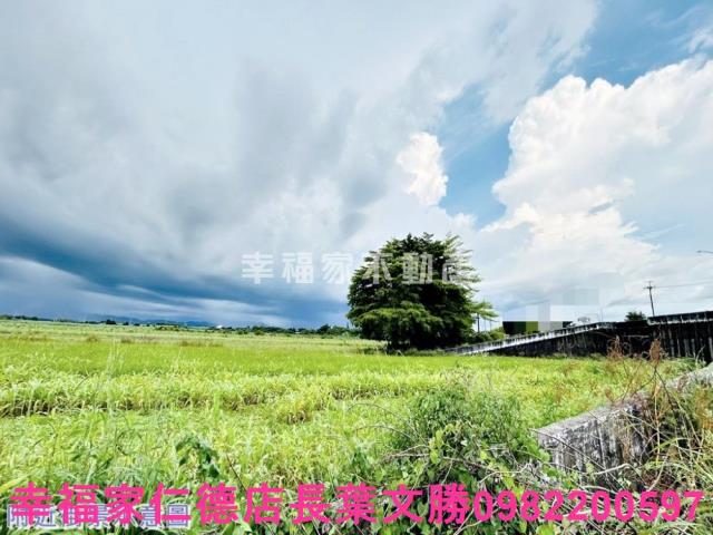 台南善化農地-1