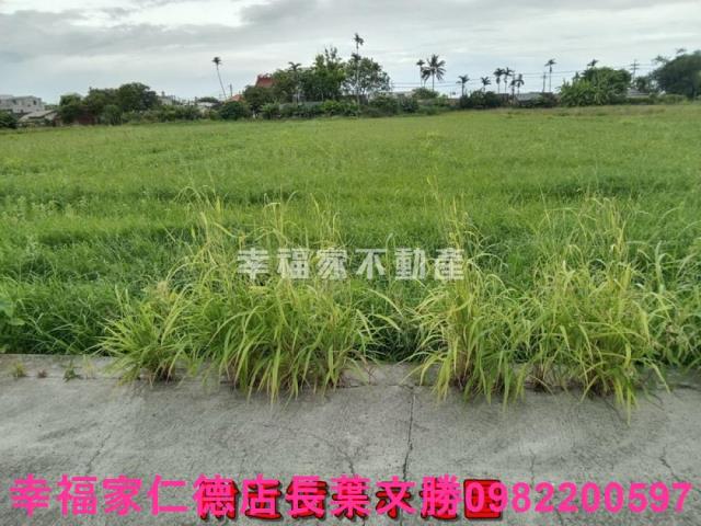 台南佳里農地-6