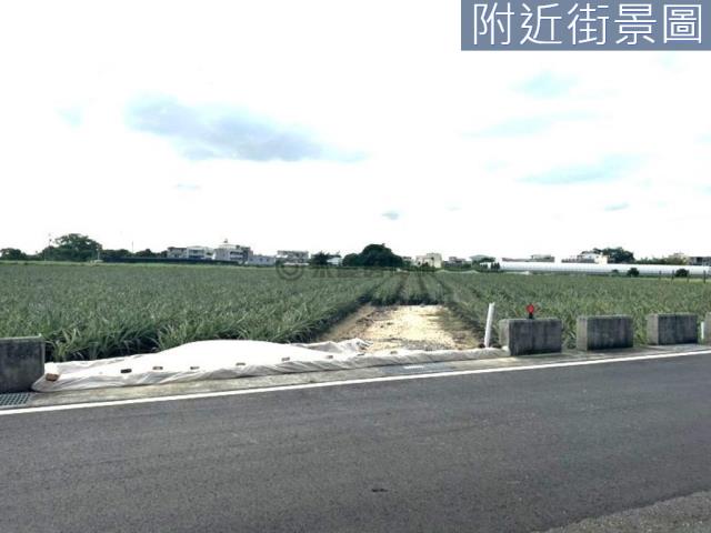 台南農地-7