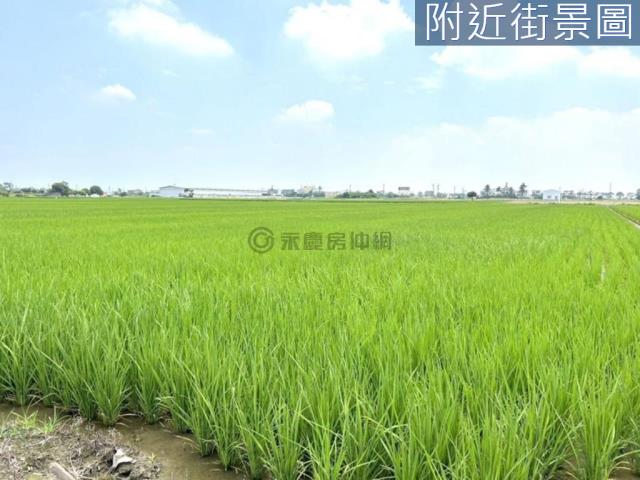 台南農地-3