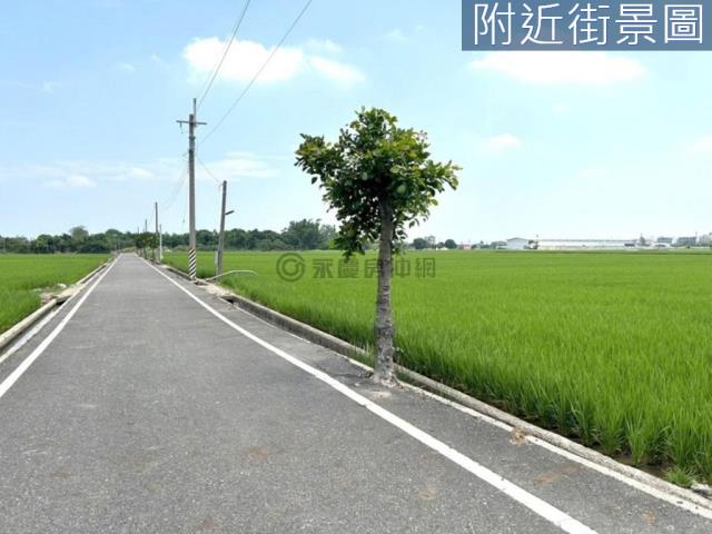 台南農地-4