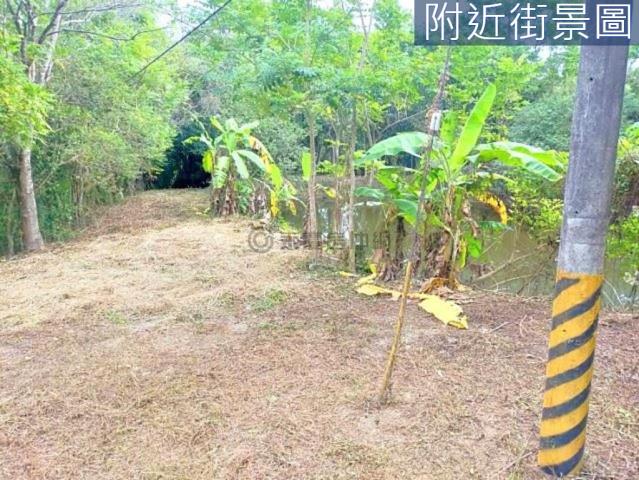 台南左鎮農地-13