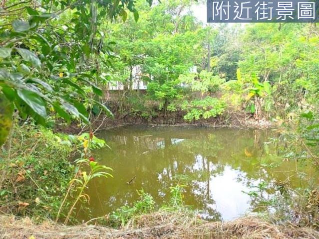 台南左鎮農地-14