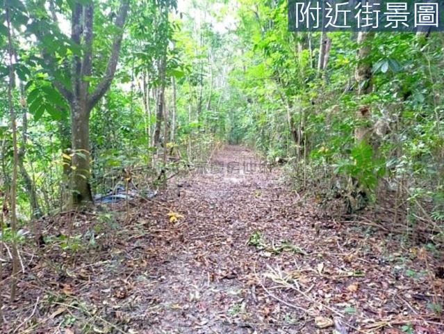 台南左鎮農地-8
