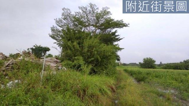 台南新市農地-1