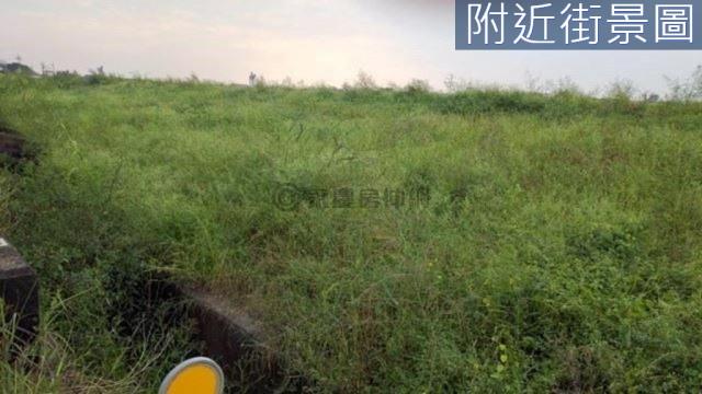 台南新市農地-6