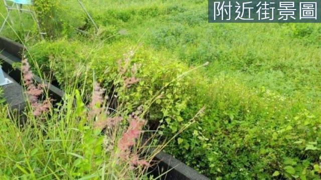 台南新市農地-7