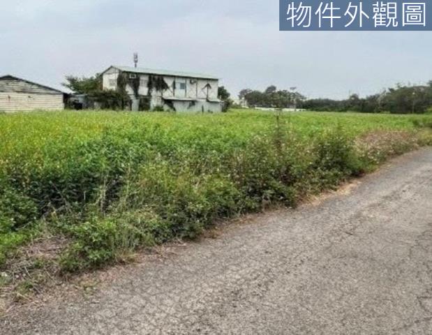 台南新市農地-2