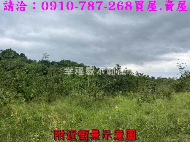 台南大內農地-4