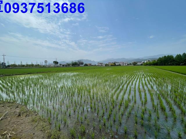 宜蘭員山農地-5