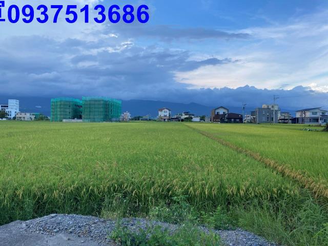 宜蘭壯圍農地-14