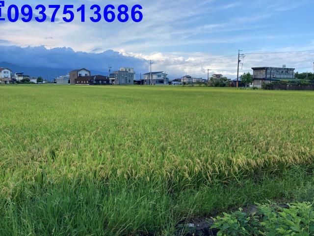 宜蘭壯圍農地-3