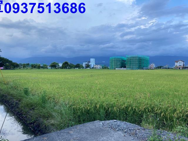 宜蘭壯圍農地-6