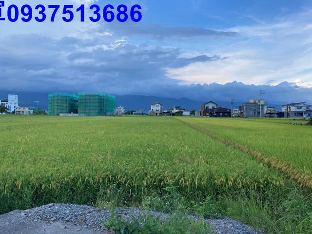 宜蘭壯圍農地-7