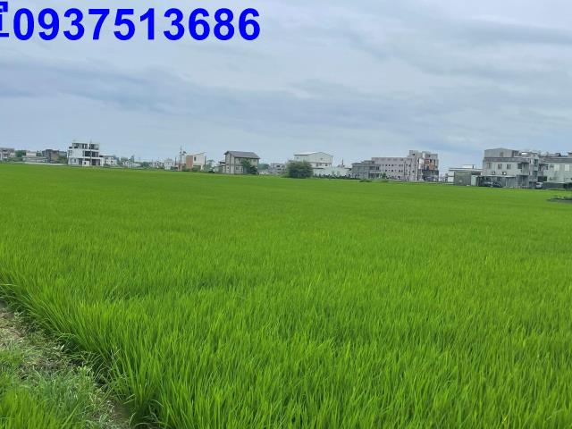 宜蘭礁溪農地-3