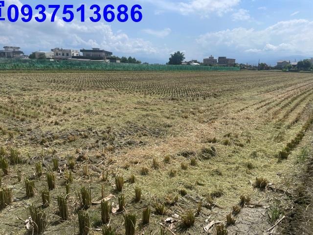 宜蘭壯圍農地-3