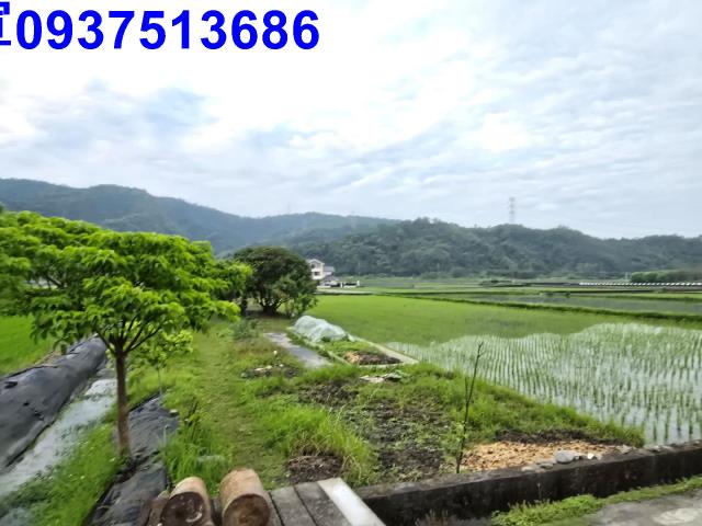 員山農地-12