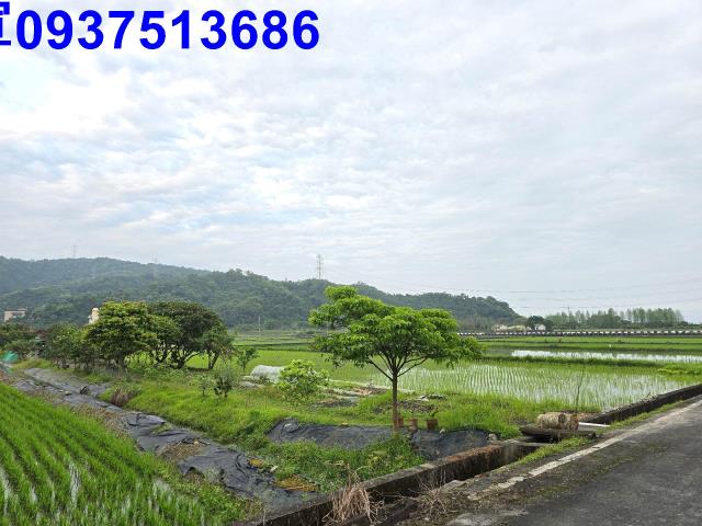 員山農地-3