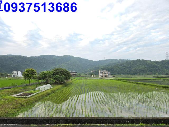 員山農地-4