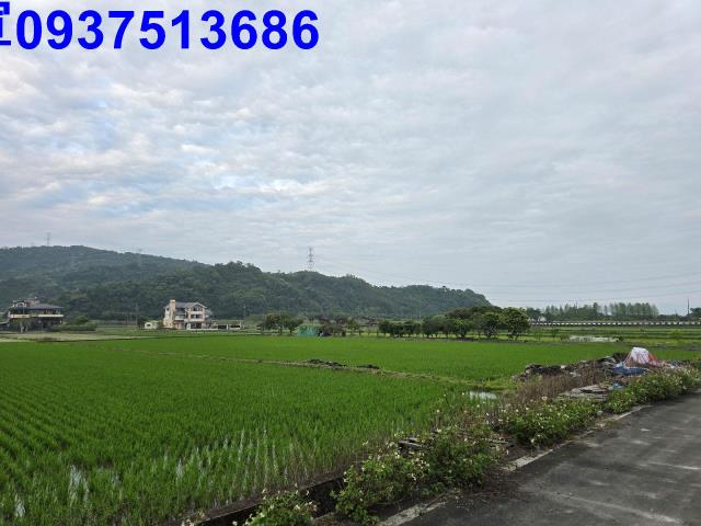 員山農地-6