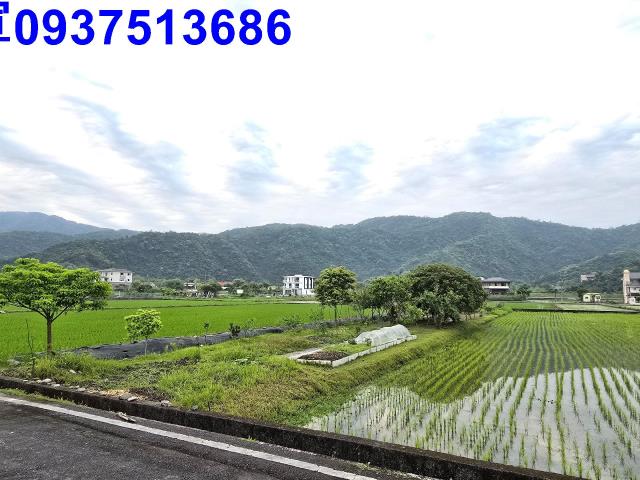 員山農地-9