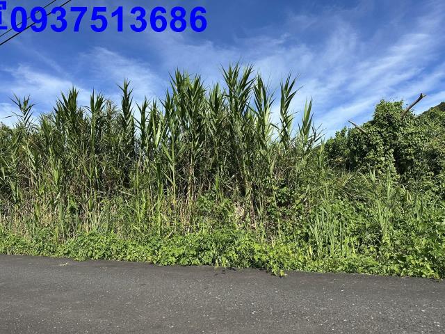 蘇澳倉儲用地-1