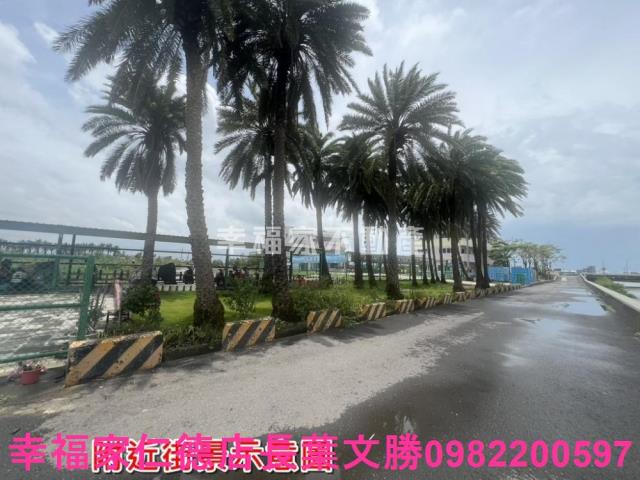 台南農地-6