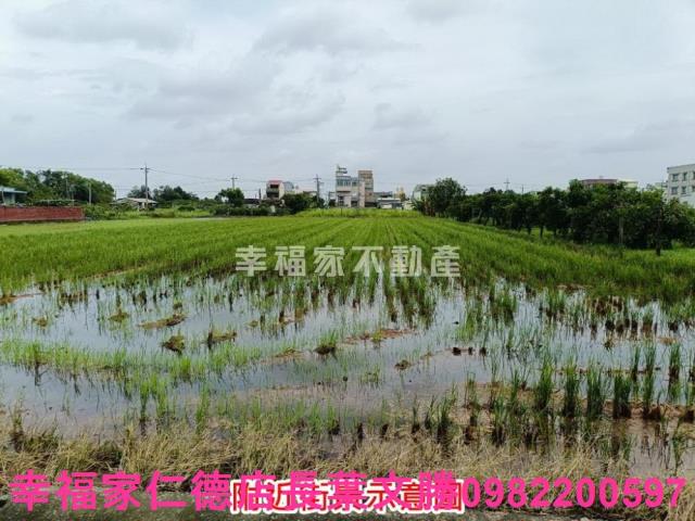 台南農地-14