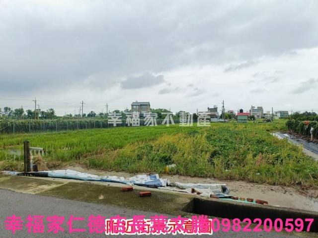 台南農地-4