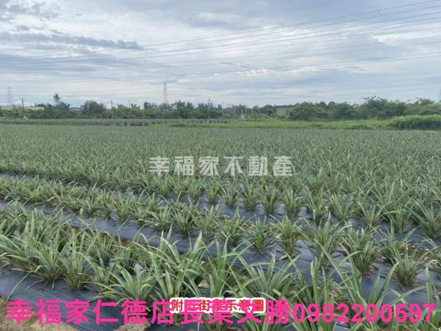 台南農地-8