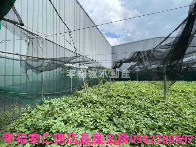 台南保護區-2