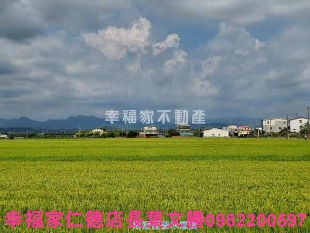 台南農地-9