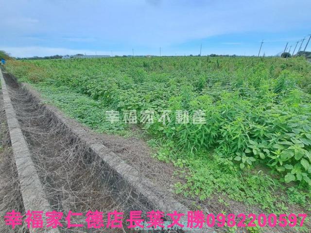 台南農地-15
