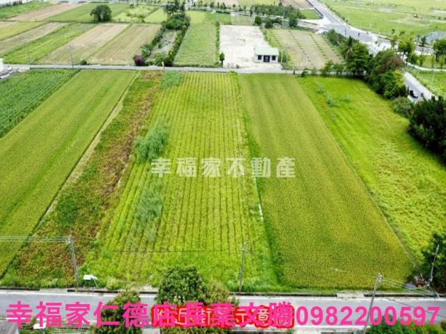 台南善化農地-4