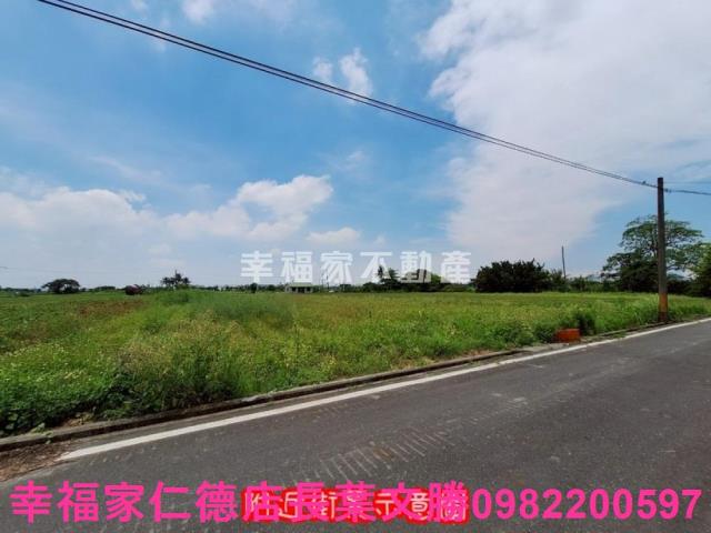台南善化農地-5