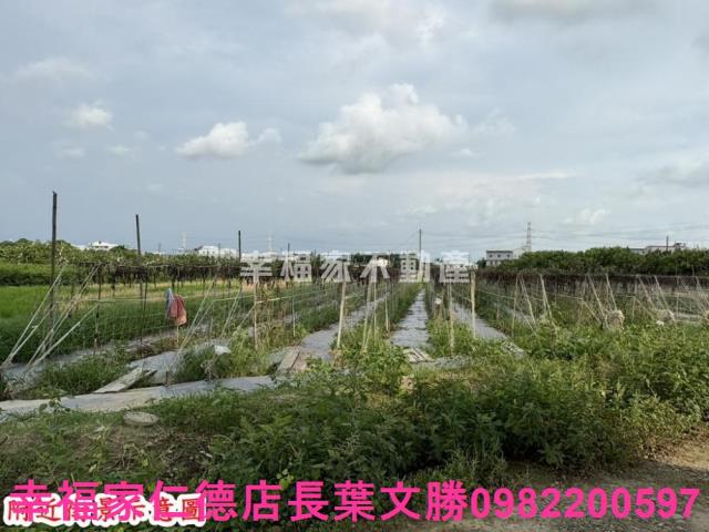 台南官田農地-4