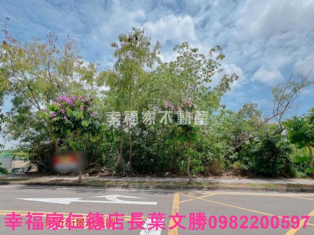 台南新營工業地-14