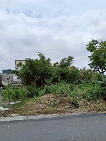 關廟建地-2