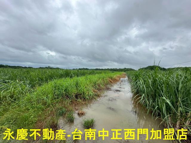 山上農地-11