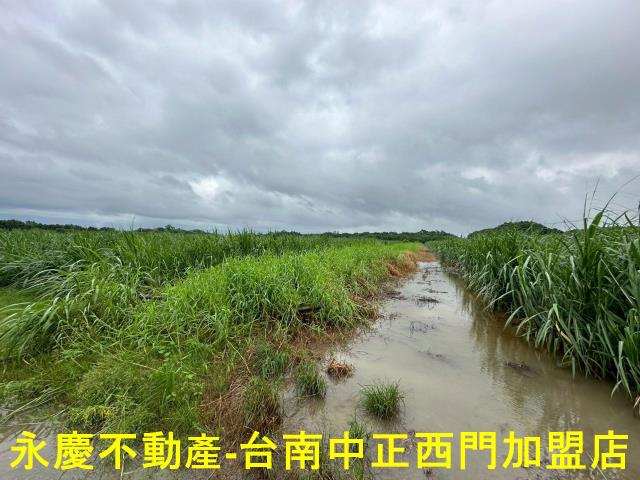 山上農地-1