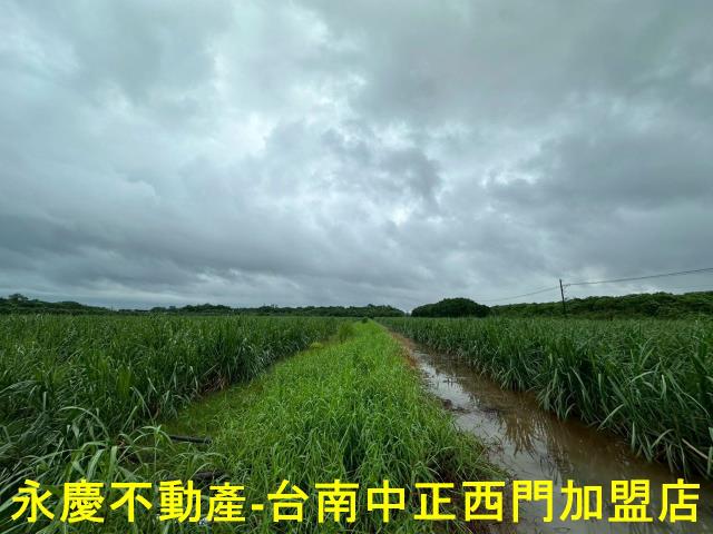 山上農地-3