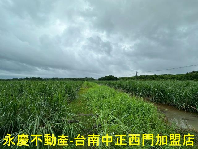 山上農地-4