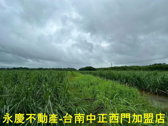 山上農地-5