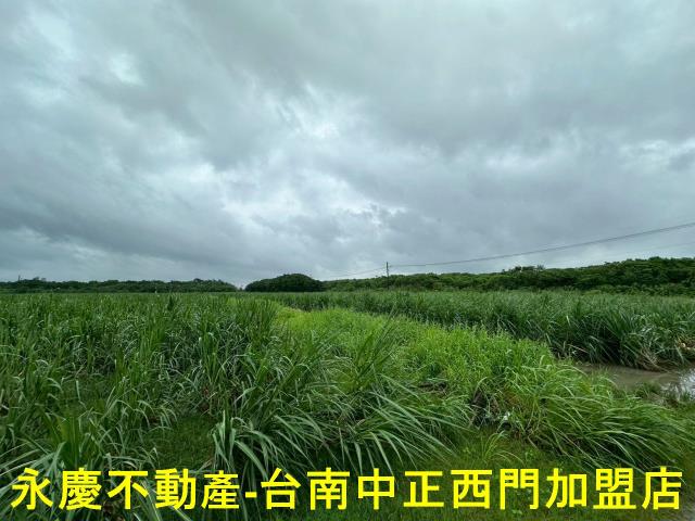 山上農地-6