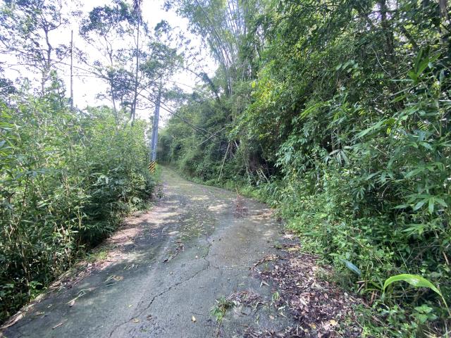 南投中寮山坡地-4