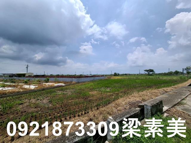 柳營農地-6