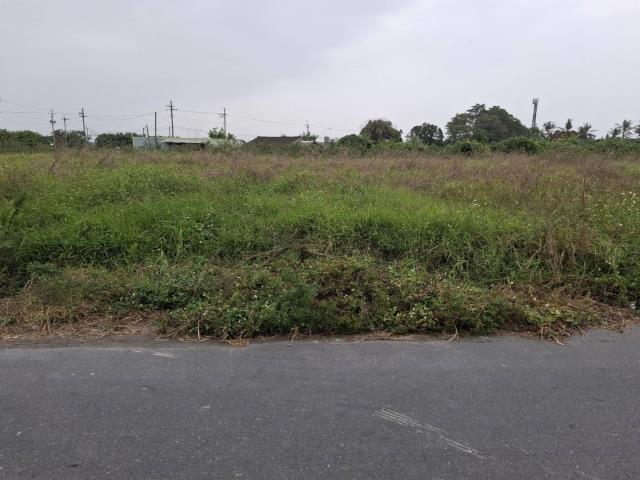 台南新市農地-6