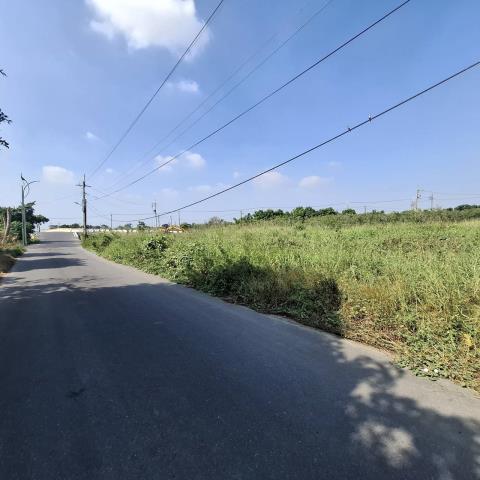 台南新市農地-9