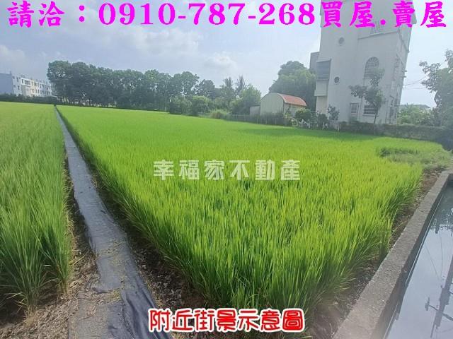 台南六甲農地-15